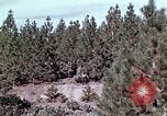 Image of reforest areas California United States USA, 1970, second 35 stock footage video 65675031952