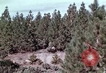 Image of reforest areas California United States USA, 1970, second 36 stock footage video 65675031952