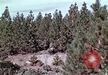 Image of reforest areas California United States USA, 1970, second 37 stock footage video 65675031952