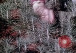 Image of reforest areas California United States USA, 1970, second 39 stock footage video 65675031952