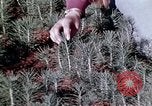 Image of reforest areas California United States USA, 1970, second 49 stock footage video 65675031952