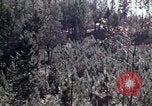 Image of reforest areas California United States USA, 1970, second 53 stock footage video 65675031952