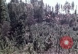 Image of reforest areas California United States USA, 1970, second 54 stock footage video 65675031952