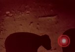 Image of wildfire California United States USA, 1970, second 13 stock footage video 65675031954