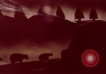 Image of wildfire California United States USA, 1970, second 24 stock footage video 65675031954