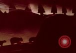 Image of wildfire California United States USA, 1970, second 25 stock footage video 65675031954
