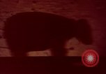 Image of wildfire California United States USA, 1970, second 30 stock footage video 65675031954