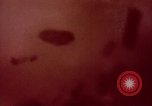 Image of wildfire California United States USA, 1970, second 42 stock footage video 65675031954