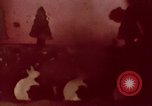 Image of wildfire California United States USA, 1970, second 47 stock footage video 65675031954