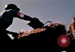 Image of Youth Conservation Corps California United States USA, 1970, second 3 stock footage video 65675031955