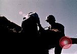 Image of Youth Conservation Corps California United States USA, 1970, second 5 stock footage video 65675031955