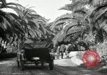 Image of Ford Model T car United States USA, 1922, second 4 stock footage video 65675031970