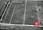 Standbild Ford River Rouge Komplexe Dearborn Michigan USA, 1935, aus Sekunde 42 historischem Filmmaterial Videoclip 65675031982