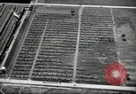 Standbild Ford River Rouge Komplexe Dearborn Michigan USA, 1935, aus Sekunde 43 historischem Filmmaterial Videoclip 65675031982
