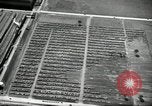 Standbild Ford River Rouge Komplexe Dearborn Michigan USA, 1935, aus Sekunde 45 historischem Filmmaterial Videoclip 65675031982