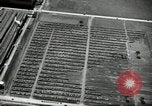 Standbild Ford River Rouge Komplexe Dearborn Michigan USA, 1935, aus Sekunde 46 historischem Filmmaterial Videoclip 65675031982