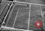 Standbild Ford River Rouge Komplexe Dearborn Michigan USA, 1935, aus Sekunde 49 historischem Filmmaterial Videoclip 65675031982