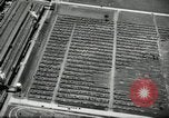 Standbild Ford River Rouge Komplexe Dearborn Michigan USA, 1935, aus Sekunde 50 historischem Filmmaterial Videoclip 65675031982