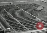Standbild Ford River Rouge Komplexe Dearborn Michigan USA, 1935, aus Sekunde 53 historischem Filmmaterial Videoclip 65675031982