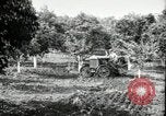 Image of Fordson model F tractor Oregon United States USA, 1920, second 3 stock footage video 65675031983