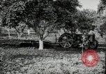 Image of Fordson model F tractor Oregon United States USA, 1920, second 17 stock footage video 65675031983