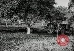 Image of Fordson model F tractor Oregon United States USA, 1920, second 18 stock footage video 65675031983