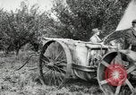 Image of Fordson model F tractor Oregon United States USA, 1920, second 56 stock footage video 65675031984