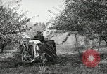Image of Fordson model F tractor Oregon United States USA, 1920, second 57 stock footage video 65675031984