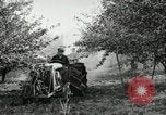 Image of Fordson model F tractor Oregon United States USA, 1920, second 59 stock footage video 65675031984