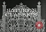 Image of Film Nature's Classics United States USA, 1920, second 7 stock footage video 65675031985
