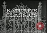 Image of Film Nature's Classics United States USA, 1920, second 11 stock footage video 65675031985