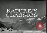 Image of Film Nature's Classics United States USA, 1920, second 12 stock footage video 65675031985