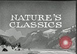 Image of Film Nature's Classics United States USA, 1920, second 13 stock footage video 65675031985
