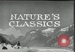 Image of Film Nature's Classics United States USA, 1920, second 14 stock footage video 65675031985
