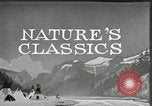 Image of Film Nature's Classics United States USA, 1920, second 15 stock footage video 65675031985