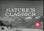 Image of Film Nature's Classics United States USA, 1920, second 16 stock footage video 65675031985