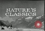 Image of Film Nature's Classics United States USA, 1920, second 17 stock footage video 65675031985