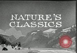 Image of Film Nature's Classics United States USA, 1920, second 18 stock footage video 65675031985