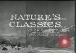 Image of Film Nature's Classics United States USA, 1920, second 19 stock footage video 65675031985