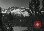 Image of Film Nature's Classics United States USA, 1920, second 14 stock footage video 65675031986
