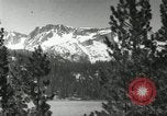 Image of Film Nature's Classics United States USA, 1920, second 15 stock footage video 65675031986