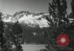 Image of Film Nature's Classics United States USA, 1920, second 17 stock footage video 65675031986