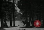 Image of Film Nature's Classics United States USA, 1920, second 21 stock footage video 65675031986