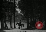 Image of Film Nature's Classics United States USA, 1920, second 22 stock footage video 65675031986