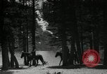 Image of Film Nature's Classics United States USA, 1920, second 23 stock footage video 65675031986