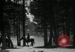 Image of Film Nature's Classics United States USA, 1920, second 25 stock footage video 65675031986