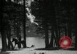 Image of Film Nature's Classics United States USA, 1920, second 26 stock footage video 65675031986