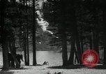 Image of Film Nature's Classics United States USA, 1920, second 27 stock footage video 65675031986