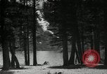 Image of Film Nature's Classics United States USA, 1920, second 29 stock footage video 65675031986