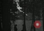 Image of Film Nature's Classics United States USA, 1920, second 31 stock footage video 65675031986